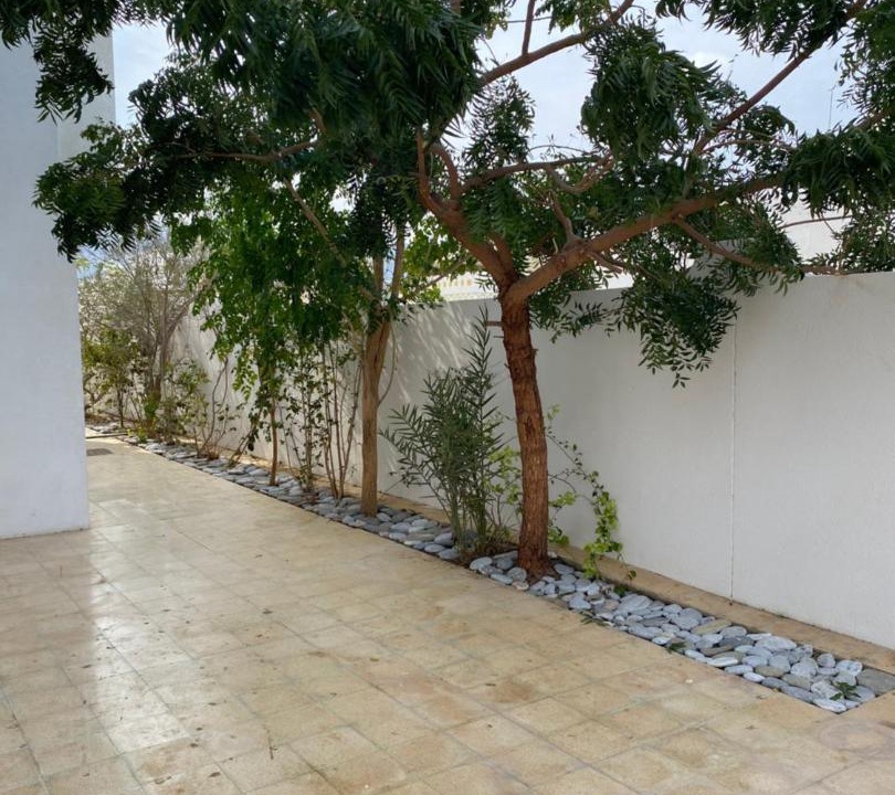 Photo of Others in Muscat