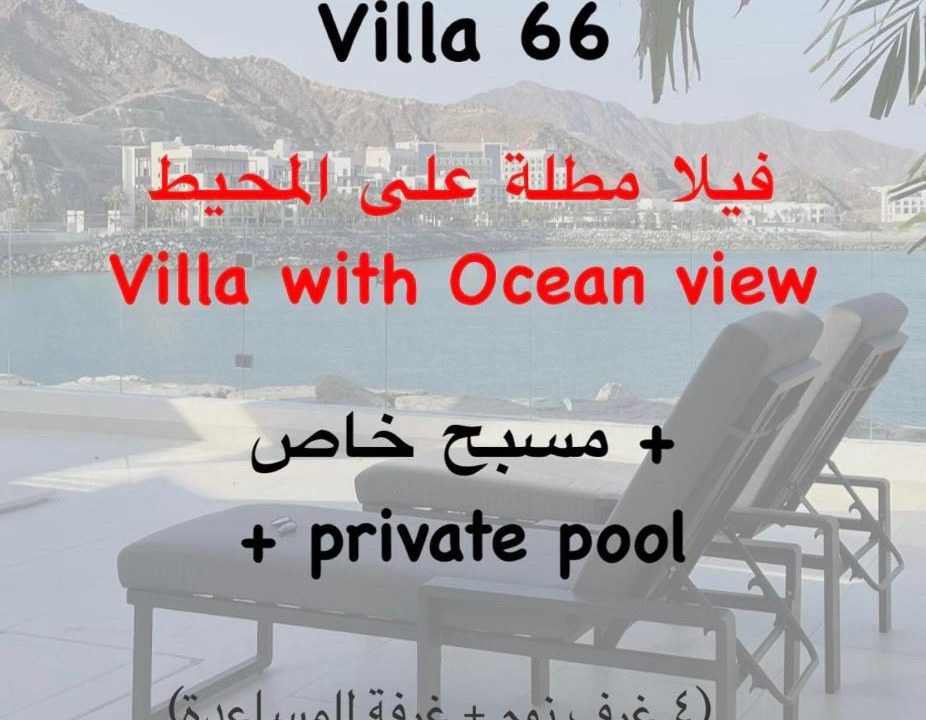 Photo of Others in Sharm