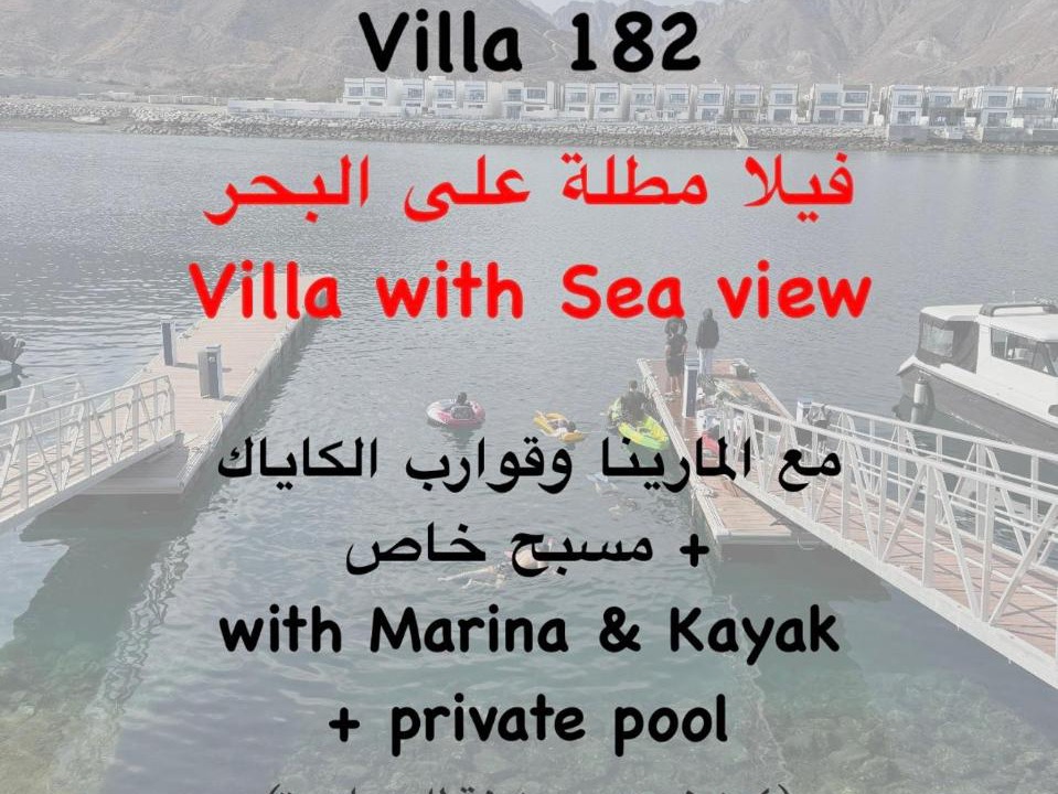 Photo of Others in Sharm