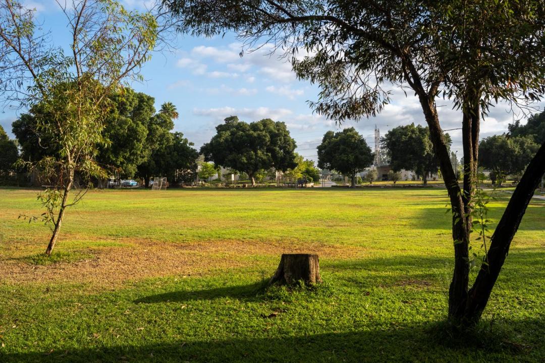 Photo of Others in Kfar Masaryk