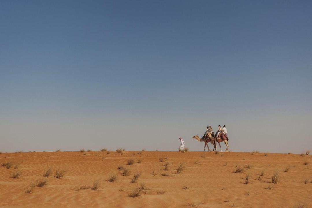 Photo of Others in Madinat Zayed