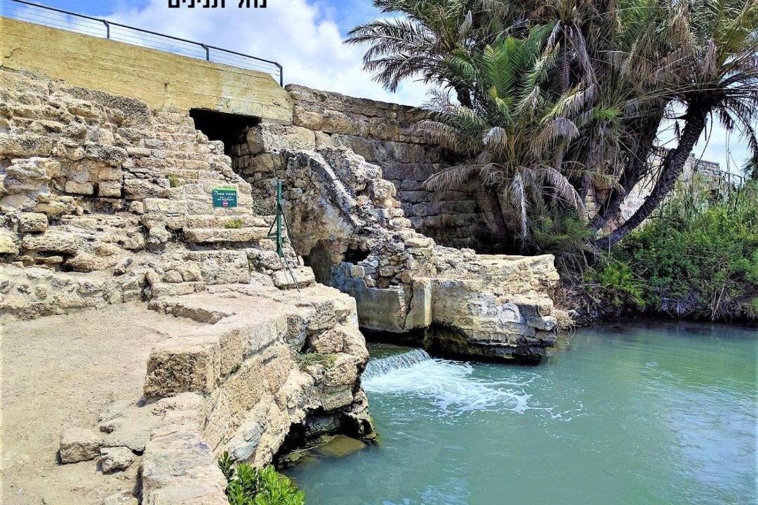 Photo of Others in Caesarea