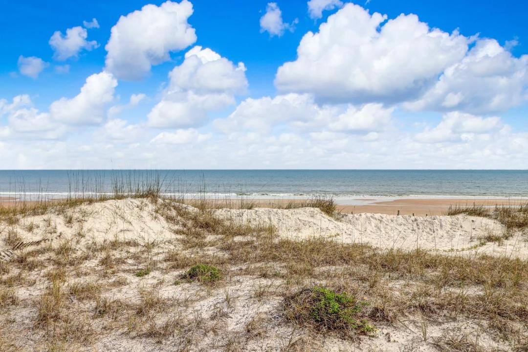 Photo of Others in Fernandina Beach