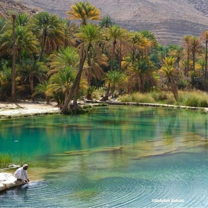 Photo of Others in Wadi Bani Khalid