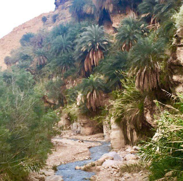Photo of Others in Al-Karak