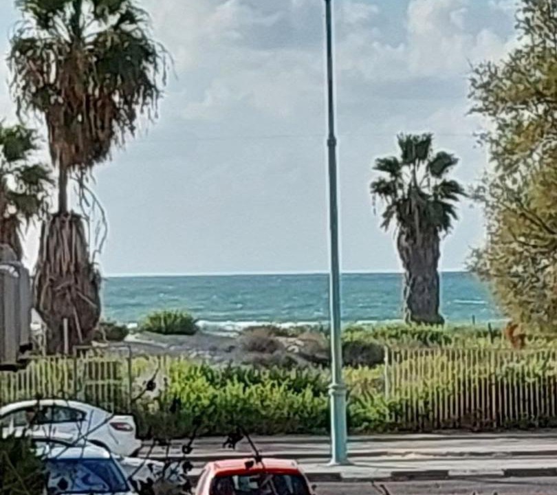 Photo of Others in Haifa