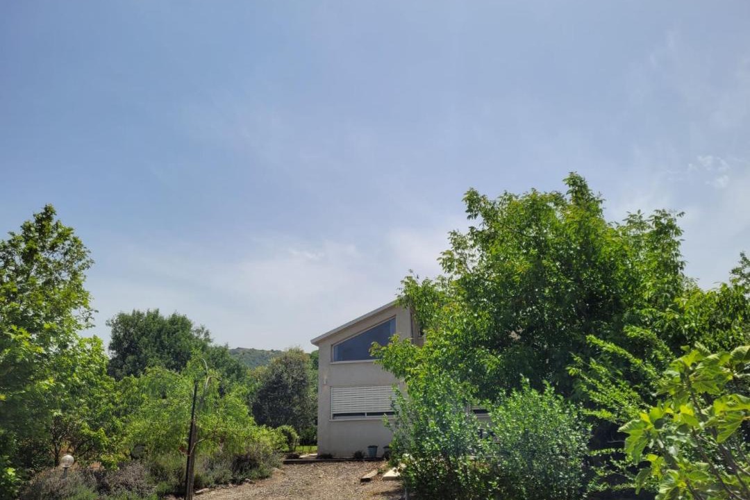 Photo of Others in Merom Golan