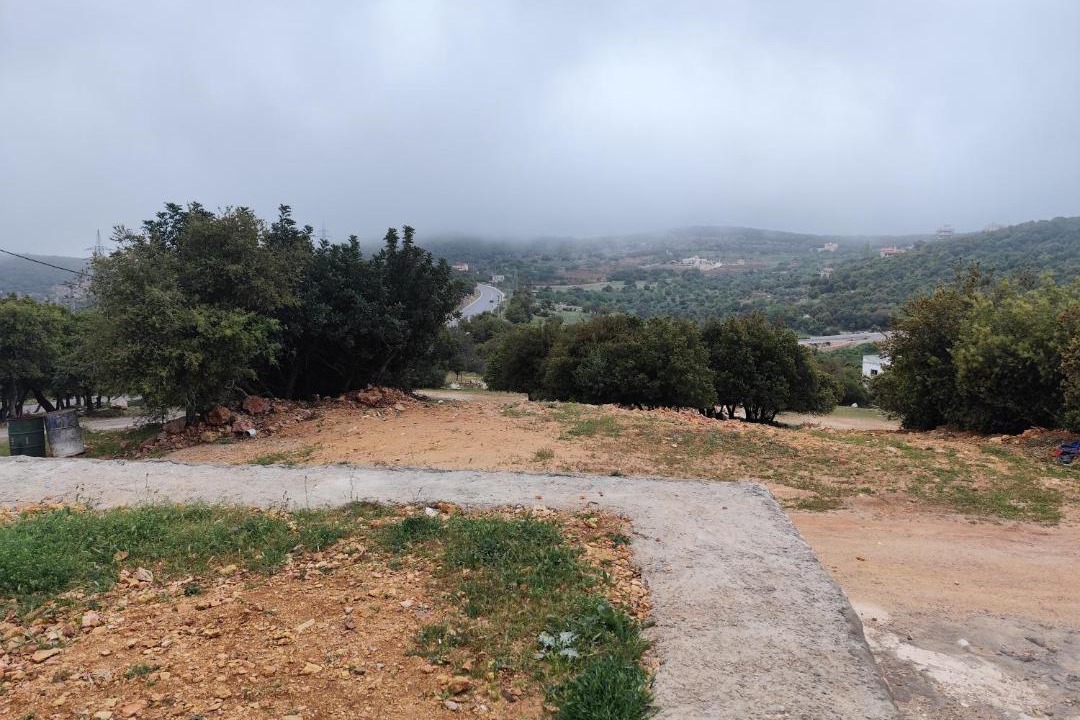 Photo of Others in Ajloun