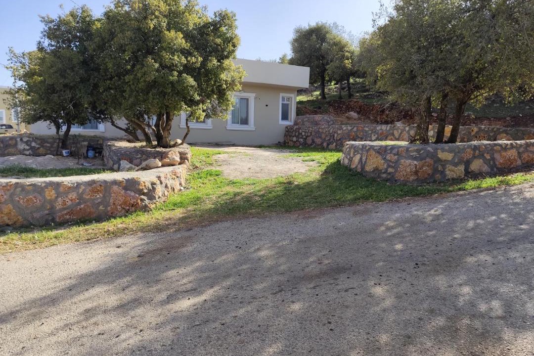Photo of Others in Ajloun