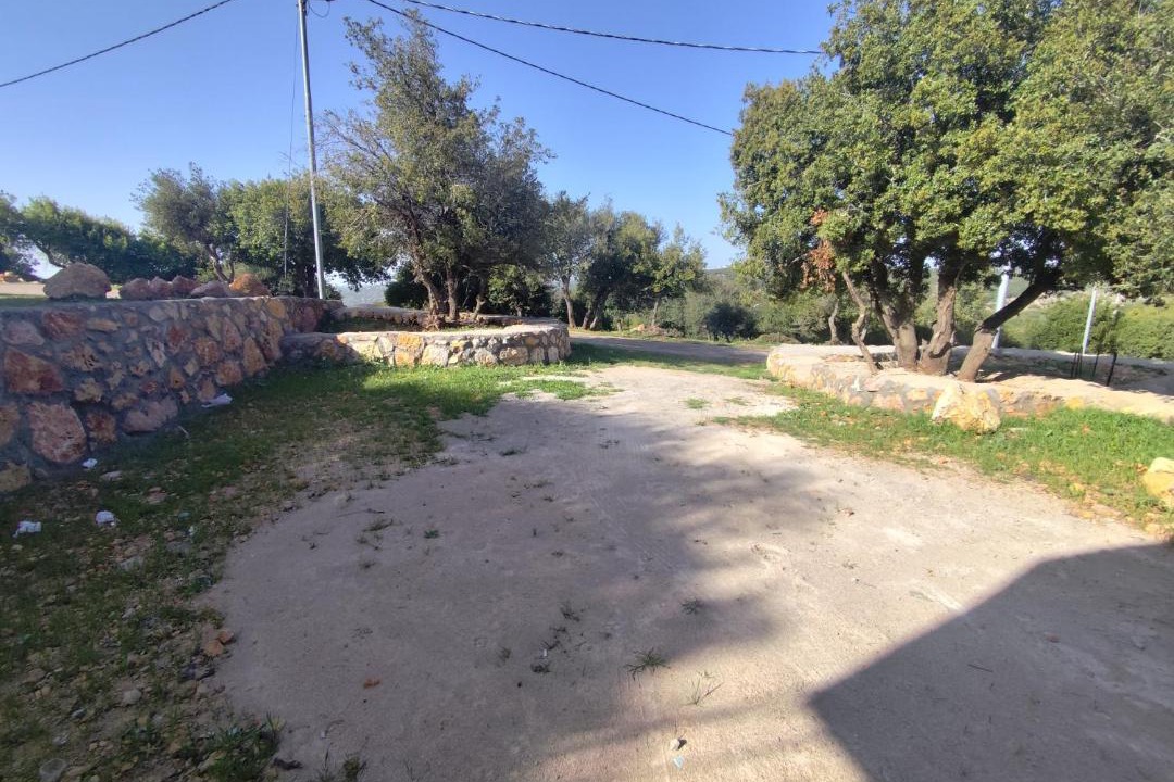 Photo of Others in Ajloun