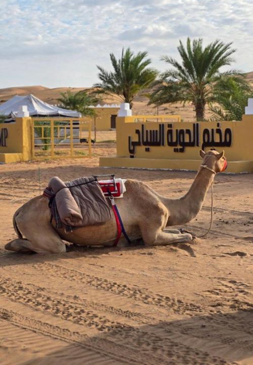 Photo of Others in Al Kamil