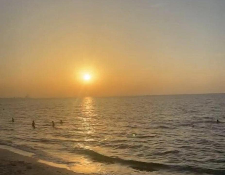 Photo of Others in Ajman