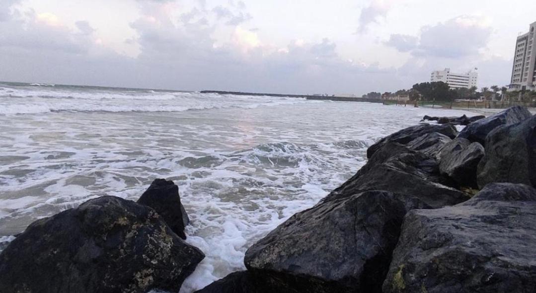 Photo of Others in Ajman