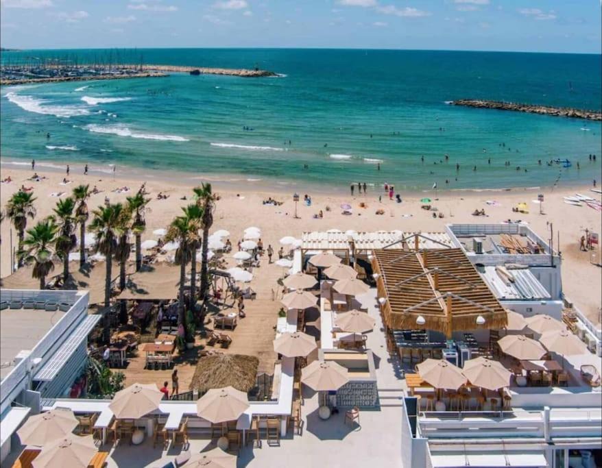 Photo of Others in Tel Aviv Promenade
