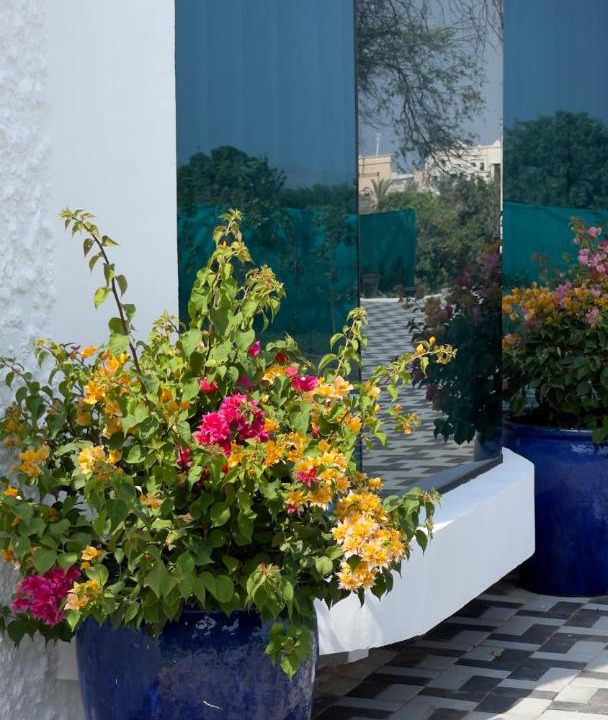 Photo of Patio Balcony in Dadna