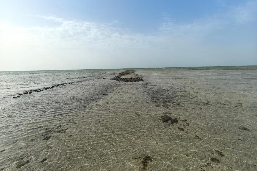 Photo of Others in Al Gharbia