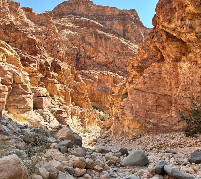 Photo of Others in Dana