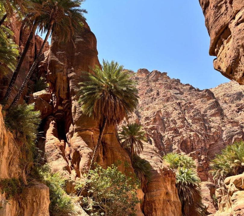 Photo of Others in Dana