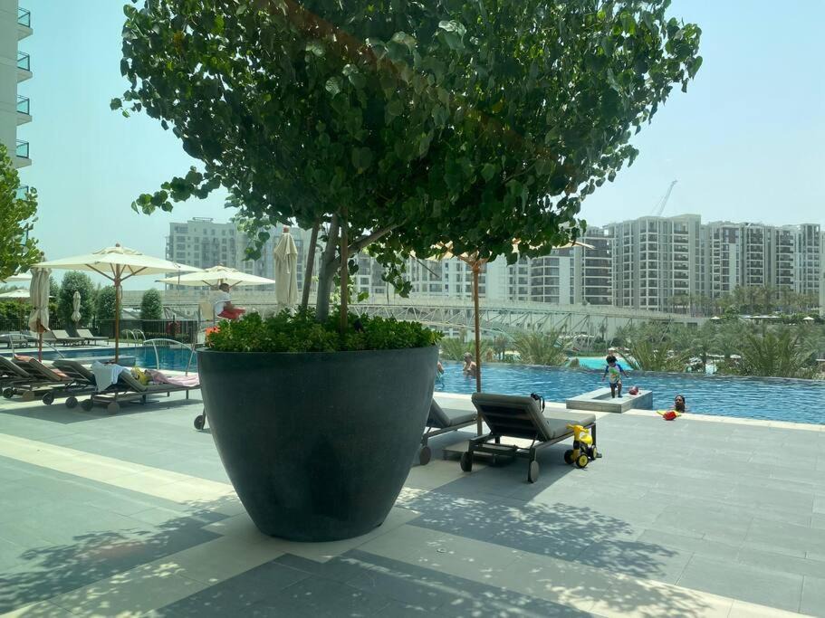 Photo of Others in Dubai