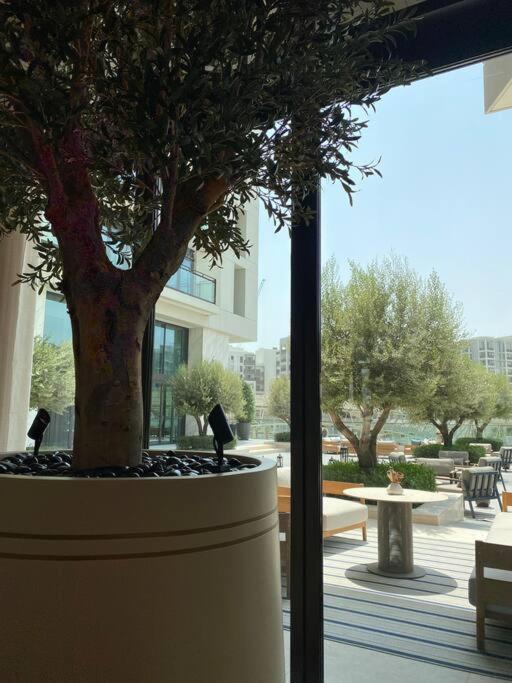 Photo of Others in Dubai