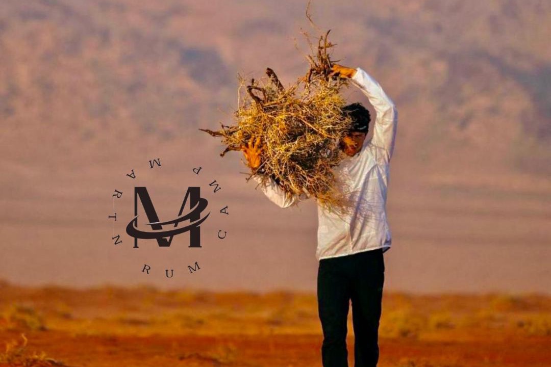 Photo of Others in Wadi Rum