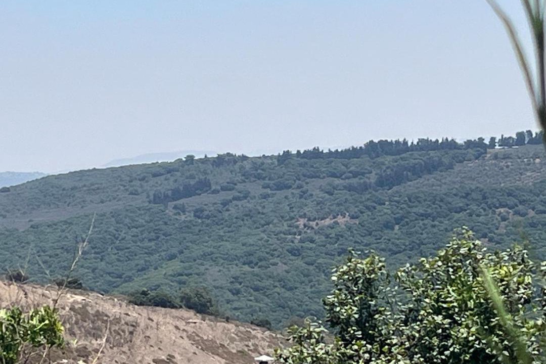 Photo of Others in Yodfat