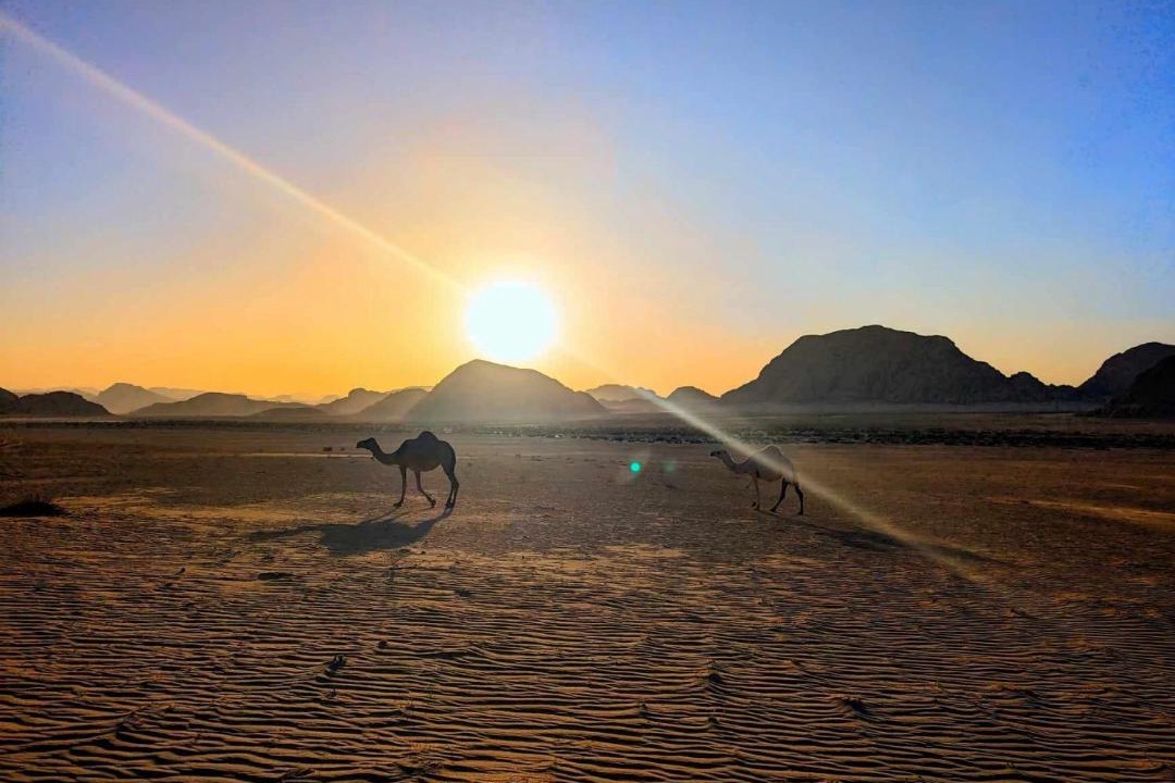 Photo of Human In Picture in Wadi Rum