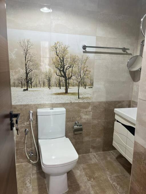 Photo of Bathroom in Ajman