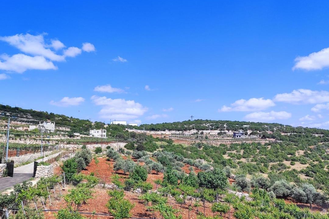 Photo of Others in Ajloun