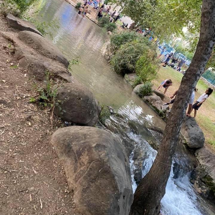Photo of Others in Qiryat Shemona
