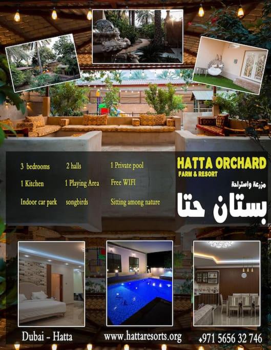 Photo of Others in Hatta