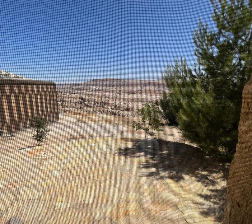 Photo of Others in Al-Qadisiya