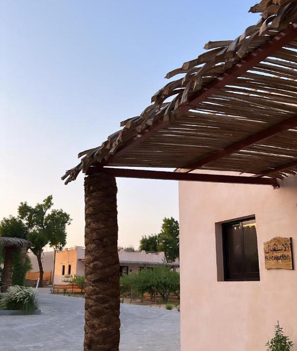 Photo of Buildings in Liwa