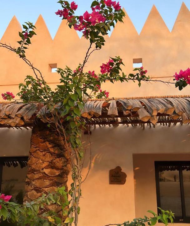 Photo of Buildings in Liwa