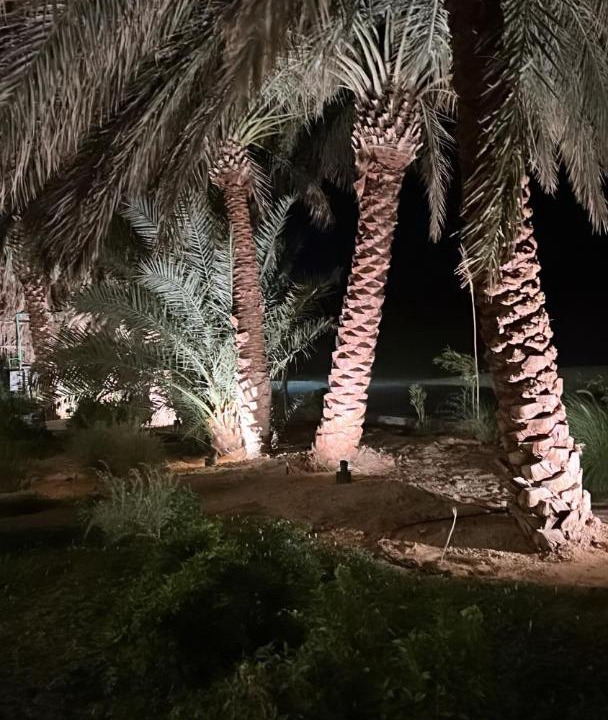 Photo of Others in Liwa