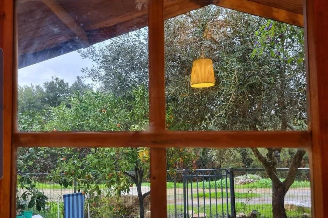 Photo of Others in Mitzpe Hila