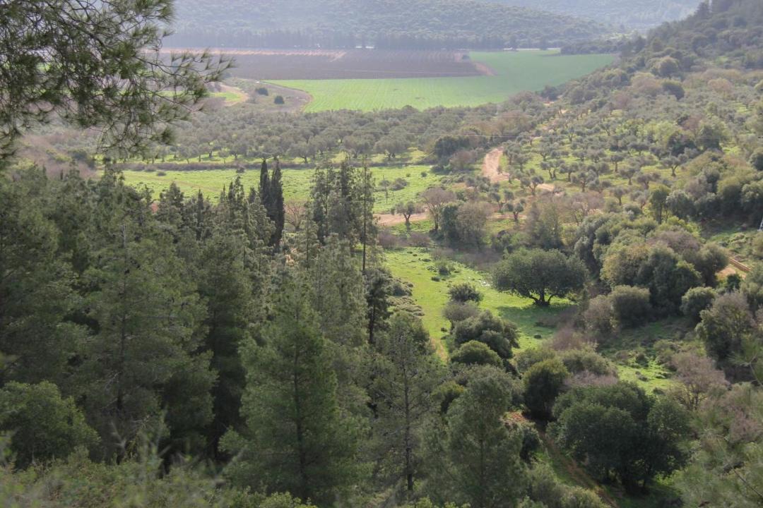 Photo of Others in Moran