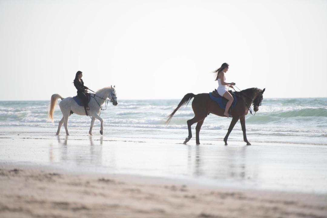 Photo of Others in Umm al Quwain