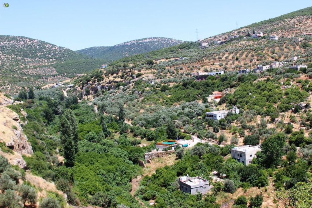 Photo of Others in Ajloun Governorate