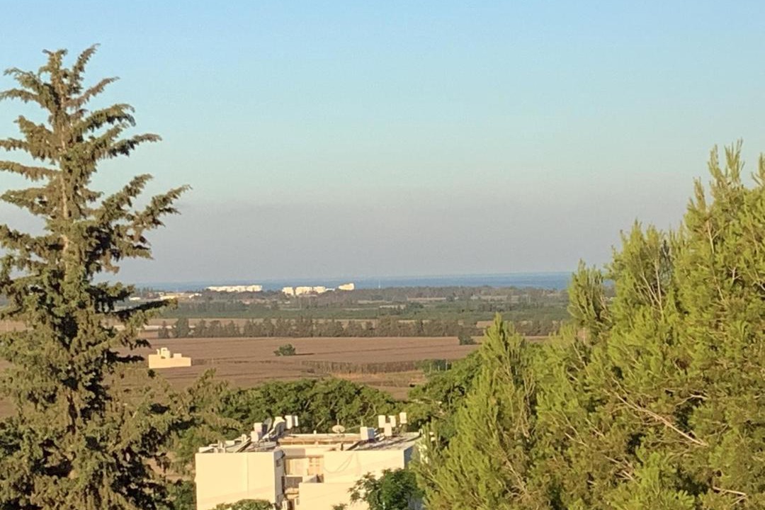 Photo of Others in Shlomi