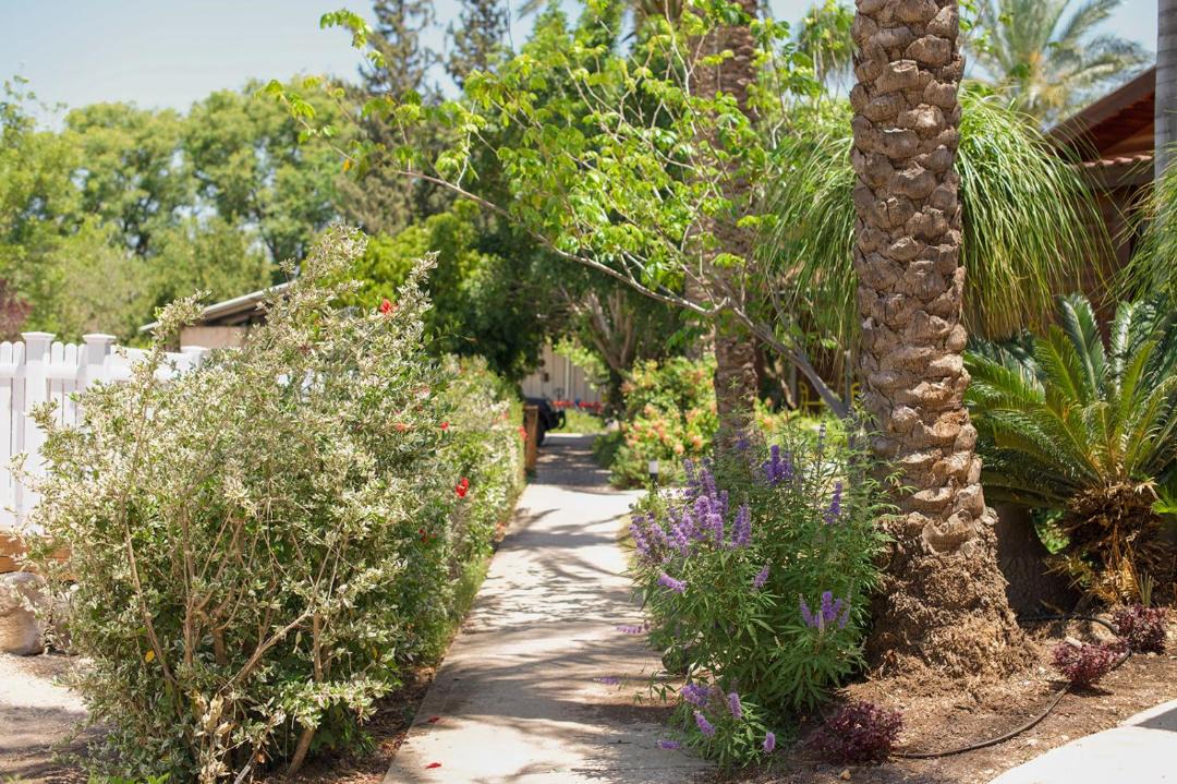 Photo of Others in Ramot