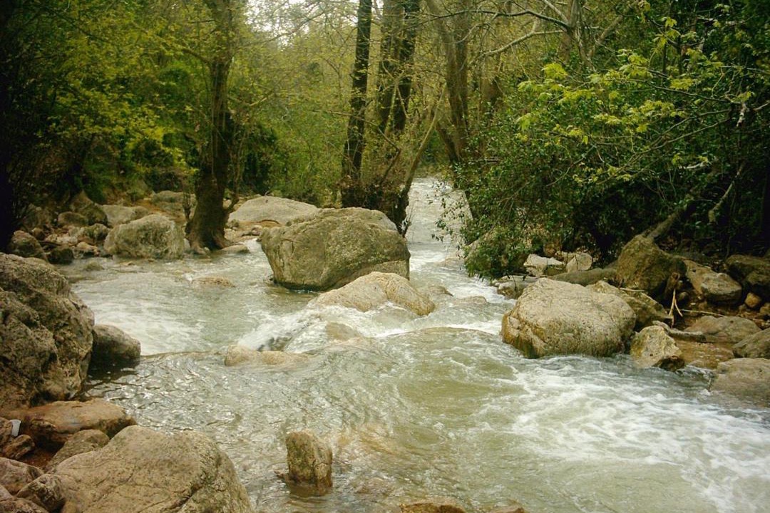 Photo of Others in Kahal