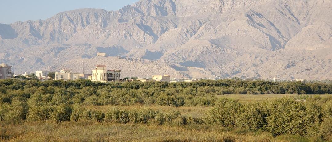 Photo of Others in Ras Al Khaimah