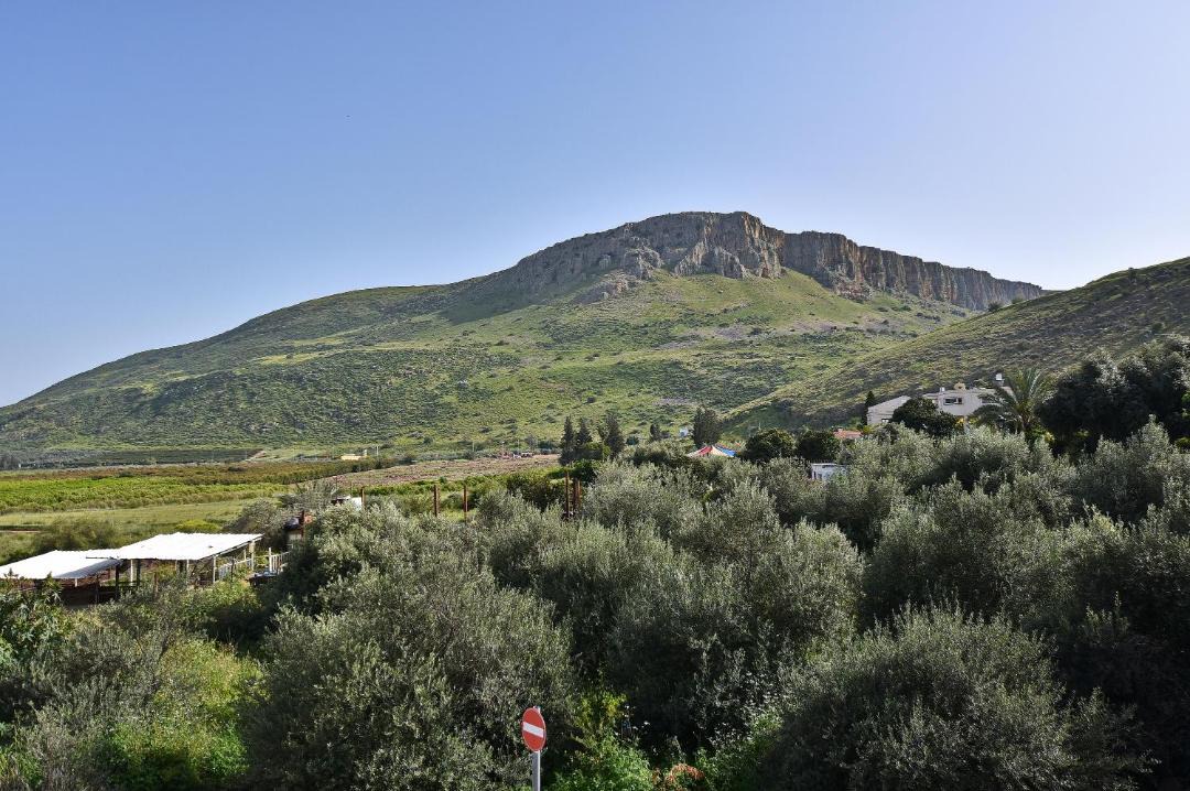 Photo of Others in Migdal