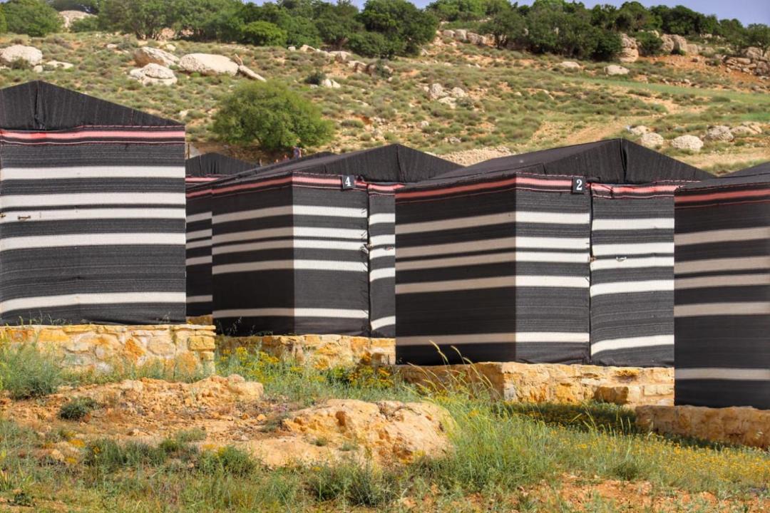 Photo of Others in Dana