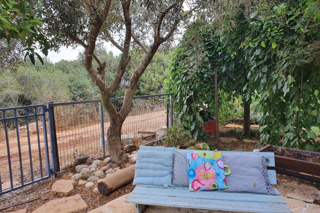 Photo of Others in Mitzpe Hila