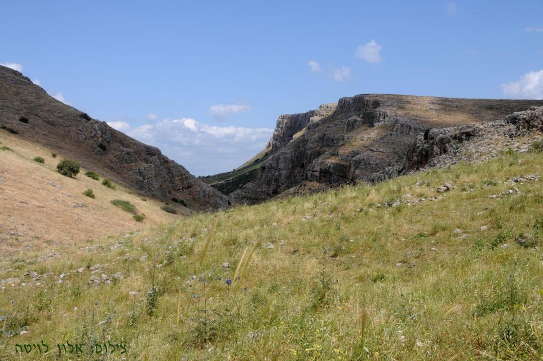 Photo of Others in Arbel
