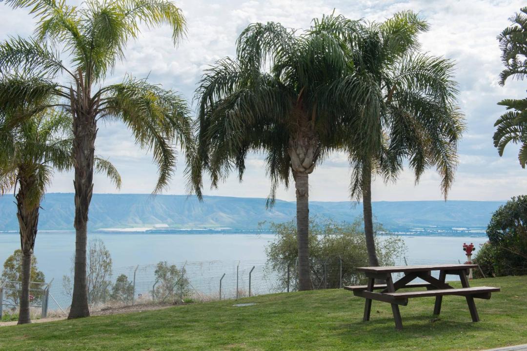 Photo of Others in Kinneret