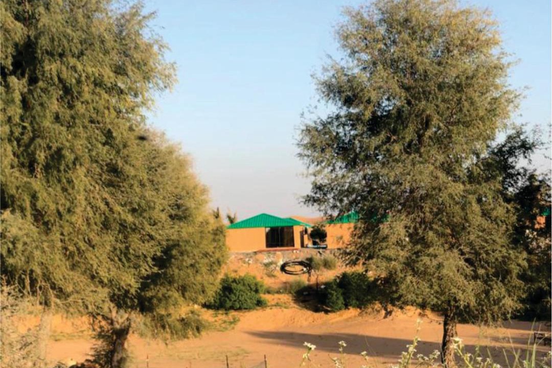 Photo of Others in Ras Al Khaimah