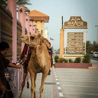 Photo of Others in Al Dhaid